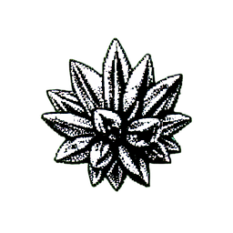 Ametista (1-bit) — sprite pixel art 256×256