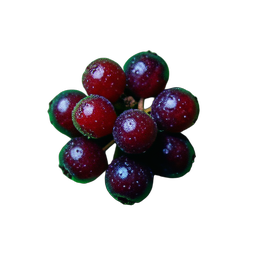 Bush Berry (Cinematic) - 256x256 pixel art sprite
