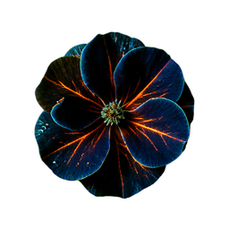 Fleur de buisson (Cinématique) — sprite pixel art 256×256