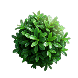 Bush Green (HD-2D) - 256x256 pixel art sprite