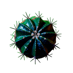 Cactus Round (Cinematic) - 256x256 pixel art sprite