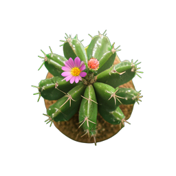 Cactus Round (HD-2D) - 256x256 pixel art sprite