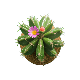 Kaktus Rund (HD-2D) — 256×256 Pixel-Art-Sprite