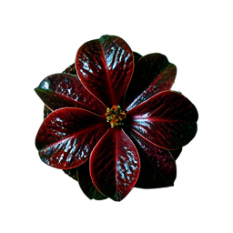 Carnivorous Plant (Cinematic) - 256x256 pixel art sprite