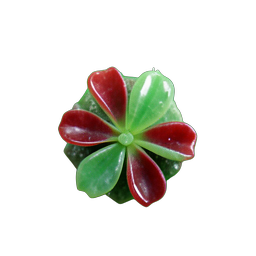 Plante Carnivore (HD-2D) — sprite pixel art 256×256