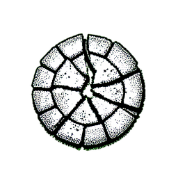 Cobblestone Cracked (1-Bit) - 256x256 pixel art sprite