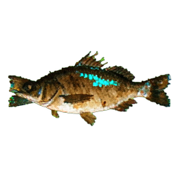 Cooked Fish (Atmospheric) - 256x256 pixel art sprite