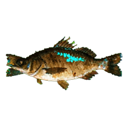 熟魚 (雰囲気) — 256×256 ピクセルアートスプライト