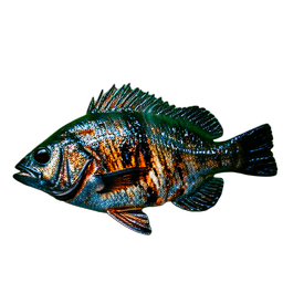 Cooked Fish (Cinematic) - 256x256 pixel art sprite