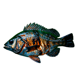 熟魚 (シネマティック) — 256×256 ピクセルアートスプライト