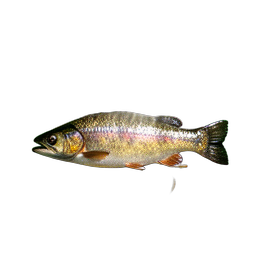 Cooked Fish (HD-2D) - 256x256 pixel art sprite