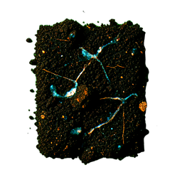 Dirt Farmland (Cinematic) - 256x256 pixel art sprite