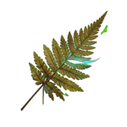Fern (Atmospheric) - 256x256 pixel art sprite