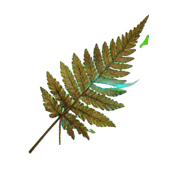 Farn (Atmosphärisch) — 256×256 Pixel-Art-Sprite