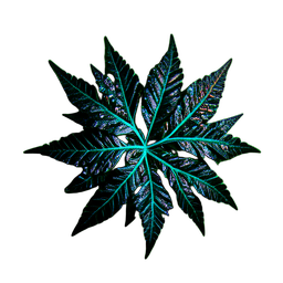 Fern (Cinematic) - 256x256 pixel art sprite