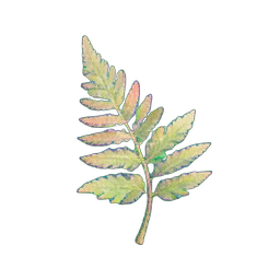 シダの葉 — 256×256 ピクセルアートスプライト