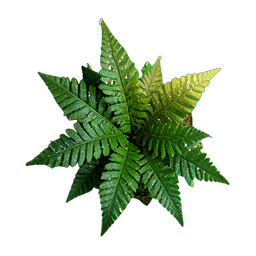 Fern (HD-2D) - 256x256 pixel art sprite