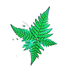 Fern (VFX) - 256x256 pixel art sprite