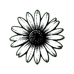 Flower Daisy (1-Bit) - 256x256 pixel art sprite