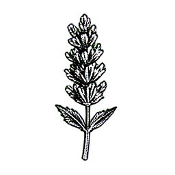 Lavanda de flor (1-bit) — sprite pixel art 256×256