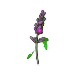 Flower Lavender (Atmospheric) - 256x256 pixel art sprite