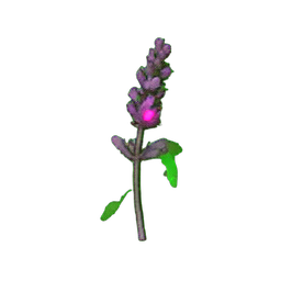 Lavande de fleur (Atmosphérique) — sprite pixel art 256×256