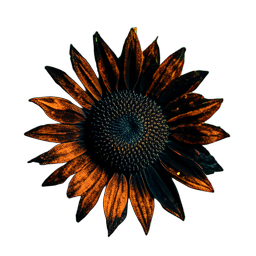 Girassol (Cinemático) — sprite pixel art 256×256