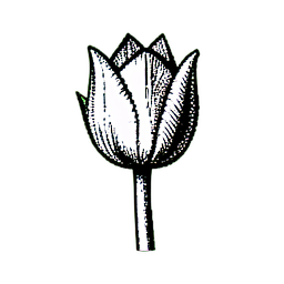 Flower Tulip (1-Bit) - 256x256 pixel art sprite