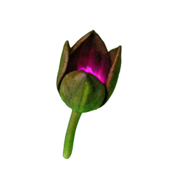 Flower Tulip (Atmospheric) - 256x256 pixel art sprite