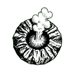 Wasserfall (1-Bit) — 256×256 Pixel-Art-Sprite