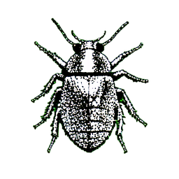 Giant Wasp (1-Bit) - 256x256 pixel art sprite