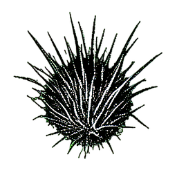 Herbe Sombre (1-Bit) — sprite pixel art 256×256