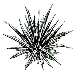 Grass Dry (1-Bit) - 256x256 pixel art sprite