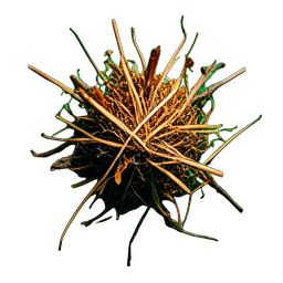 Grass Dry (Cinematic) - 256x256 pixel art sprite