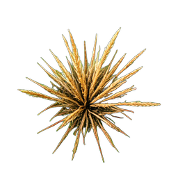 Grass Dry (HD-2D) - 256x256 pixel art sprite