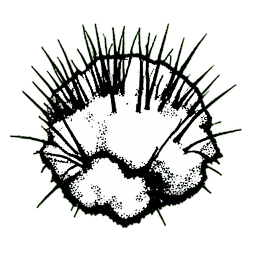 Grass Snow (1-Bit) - 256x256 pixel art sprite