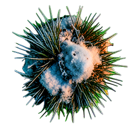 Grass Snow (Cinematic) - 256x256 pixel art sprite