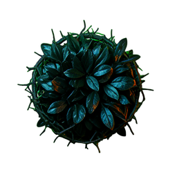 Hedge Tall (Cinematic) - 256x256 pixel art sprite