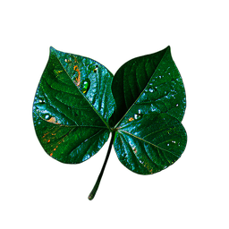 Hierba Verde (Cinemático) — sprite pixel art 256×256