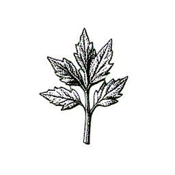 Herb Red (1-Bit) - 256x256 pixel art sprite