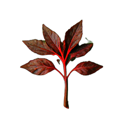 Herb Red (Atmospheric) — 256×256 pixel art sprite