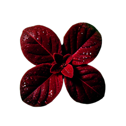 Herb Red (Cinematic) - 256x256 pixel art sprite