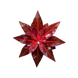 Herb Red (HD-2D) - 256x256 pixel art sprite