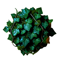 Ivy Ground (Cinematic) - 256x256 pixel art sprite