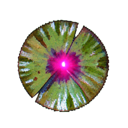 Lily Pad (Atmospheric) - 256x256 pixel art sprite