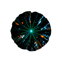 Lily Pad (Cinematic) - 256x256 pixel art sprite