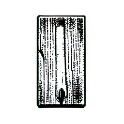 Caja de fósforos (1-bit) — sprite pixel art 256×256