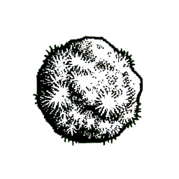 صخرة الطحالب (1-Bit) — رسم بكسل 256×256