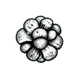 Mushroom Cluster (1-Bit) - 256x256 pixel art sprite