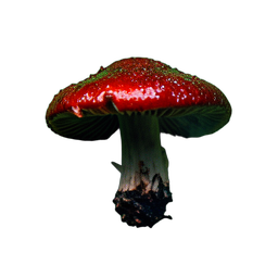 Mushroom Red (Cinematic) - 256x256 pixel art sprite